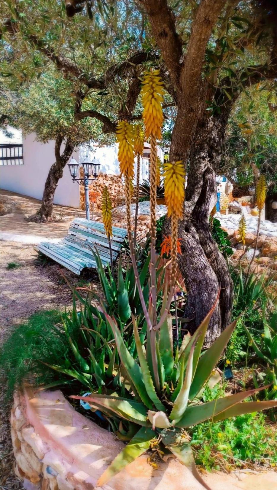 Villa Flaire Mar Tarragona Esterno foto